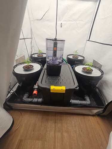Growreport Bild 26