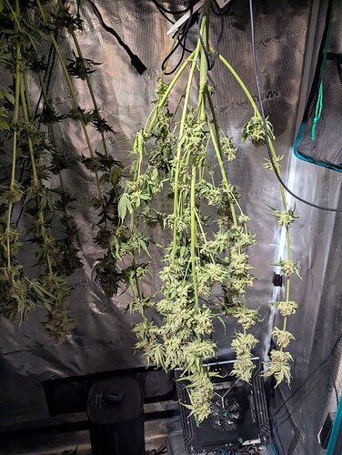 Growreport Bild 9