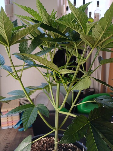 Growreport Bild 8