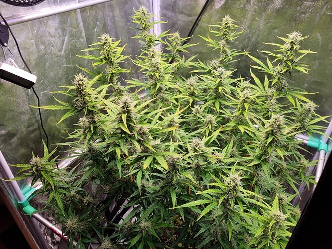 Growreport Bild 24