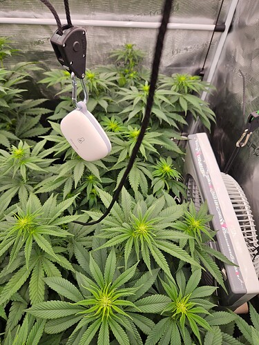 Growreport Bild 3