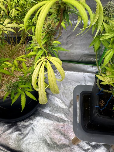 Growreport Bild 10