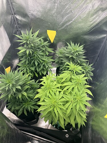 Growreport Bild 11