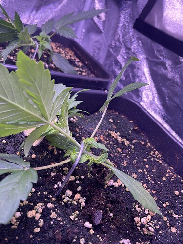 Growreport Bild 23