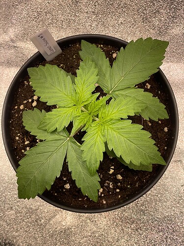 Growreport Bild 24