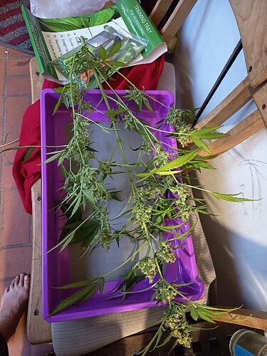 Growreport Bild 14