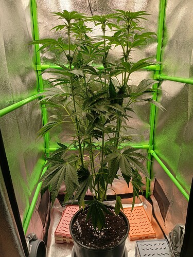 Growreport Bild 3