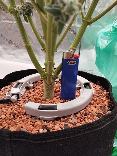 Growreport Bild 26