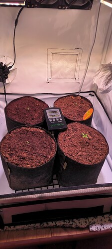 Growreport Bild 4
