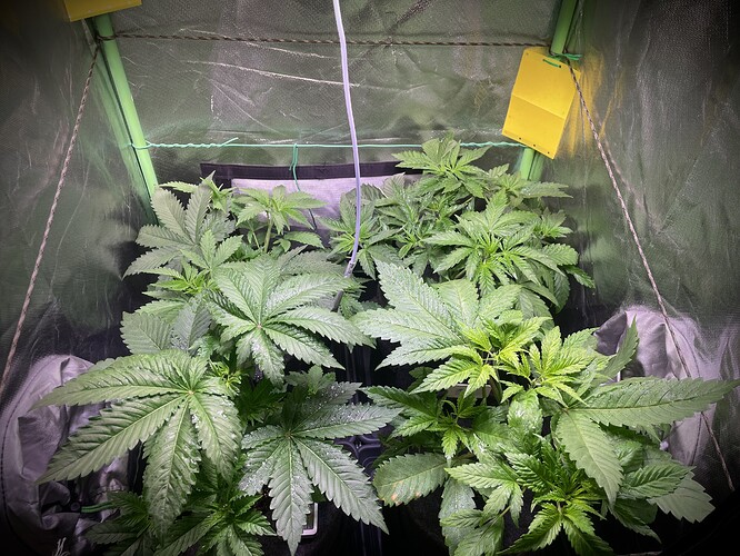 Growreport Bild 12