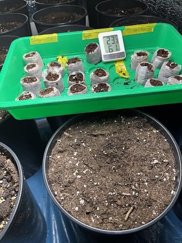 Growreport Bild 6