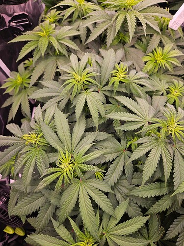 Growreport Bild 4