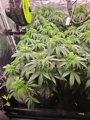Growreport Bild 11