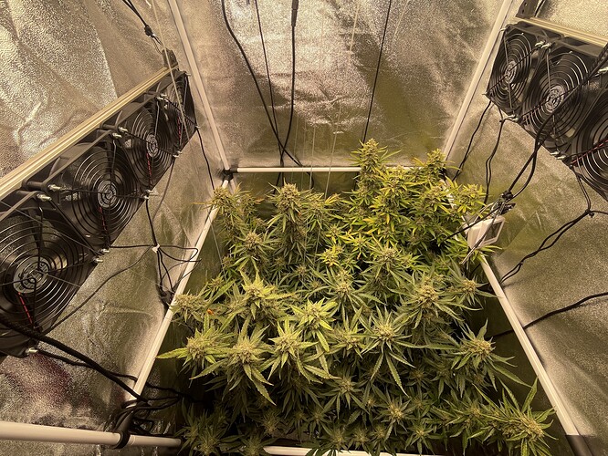 Growreport Bild 4