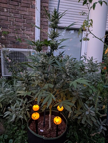 Growreport Bild 10