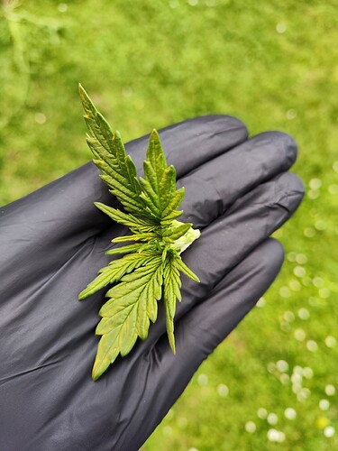 Growreport Bild 8