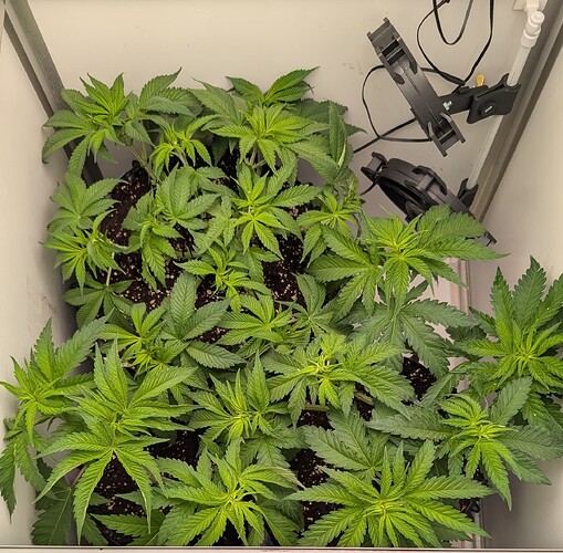 PXL_20250418_083155450.MP~2