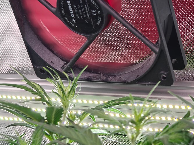 Growreport Bild 18