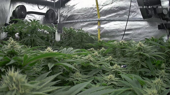 Growreport Bild 19