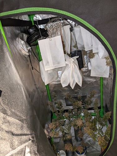 Growreport Bild 2