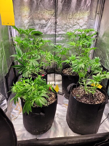 Growreport Bild 4
