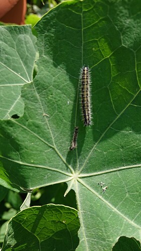 Growreport Bild 10
