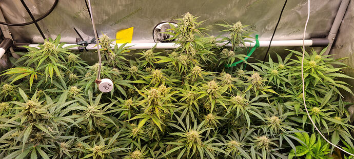 Growreport Bild 24