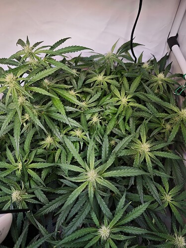 MVIMG_20251026_194303