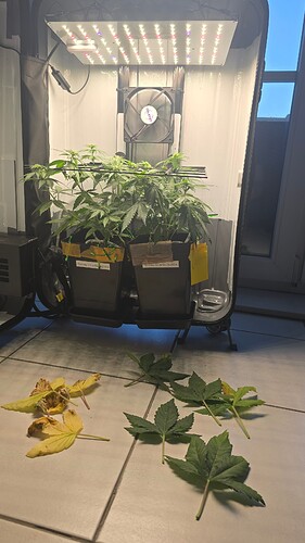 Growreport Bild 13
