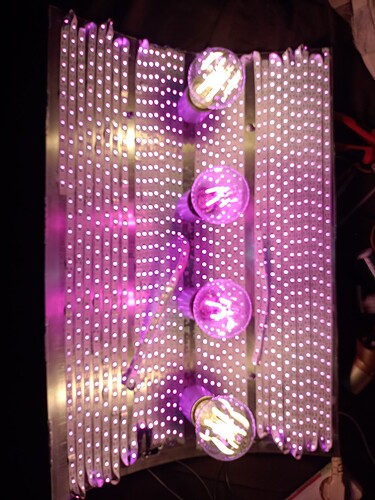 IMG_20240403_160309044