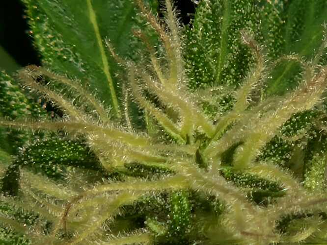 WhatsApp Image 2024-05-24 at 16.08.18 (3)