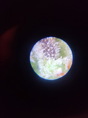 Growreport Bild 25
