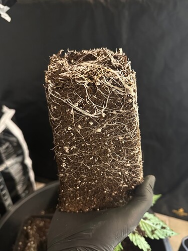Growreport Bild 14