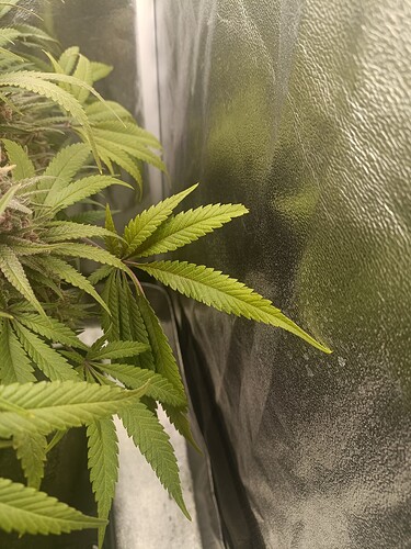 Growreport Bild 8