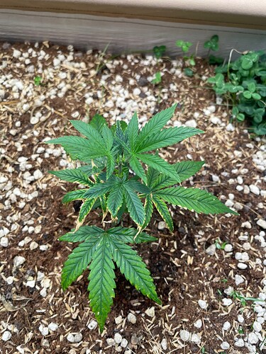 Growreport Bild 34