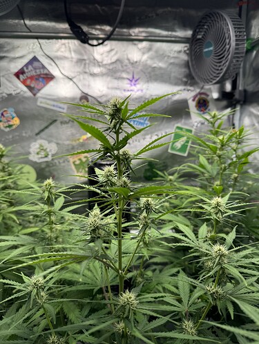 Growreport Bild 14