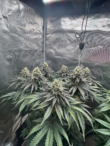 Growreport Bild 14