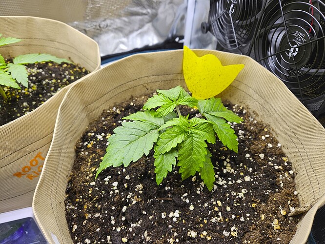 Growreport Bild 20