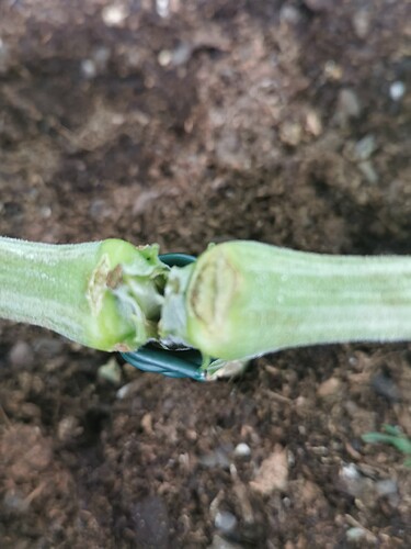 Growreport Bild 22