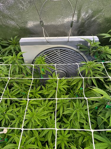 Growreport Bild 30