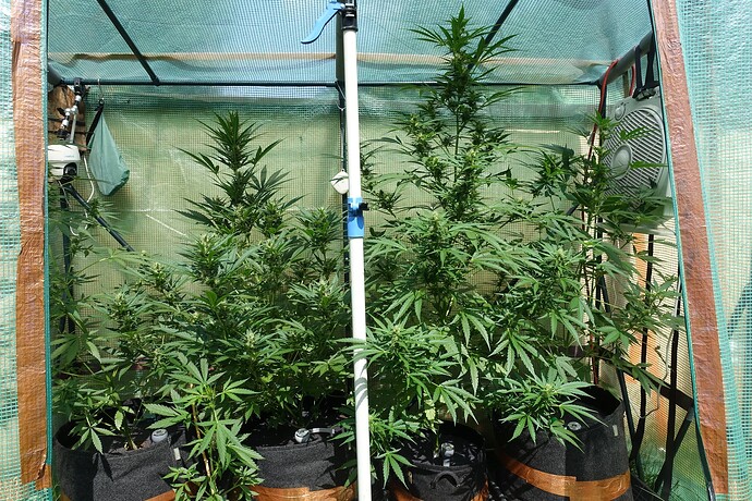 Growreport Bild 7
