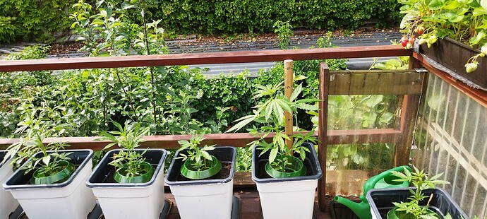Growreport Bild 10