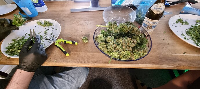 Growreport Bild 38