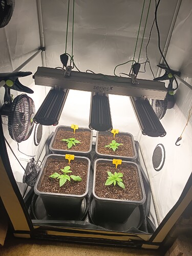 Growreport Bild 5