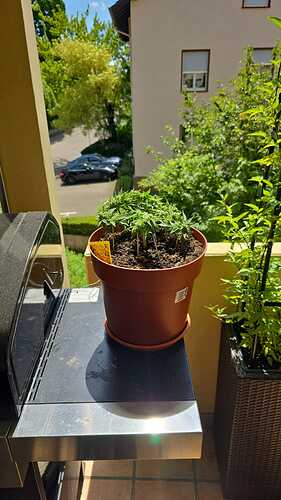 Growreport Bild 22