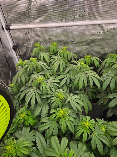 Growreport Bild 13