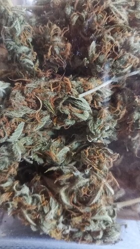 Growreport Bild 12