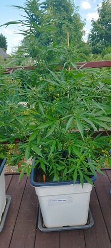 Growreport Bild 21
