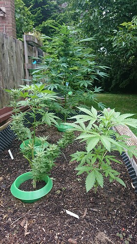 Growreport Bild 8