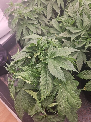 Growreport Bild 10